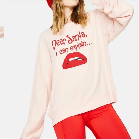 NEW Wildfox Graphic Baggy Long Sleeve Fleece Crewneck Sweatshirt - Picture 1 of 9